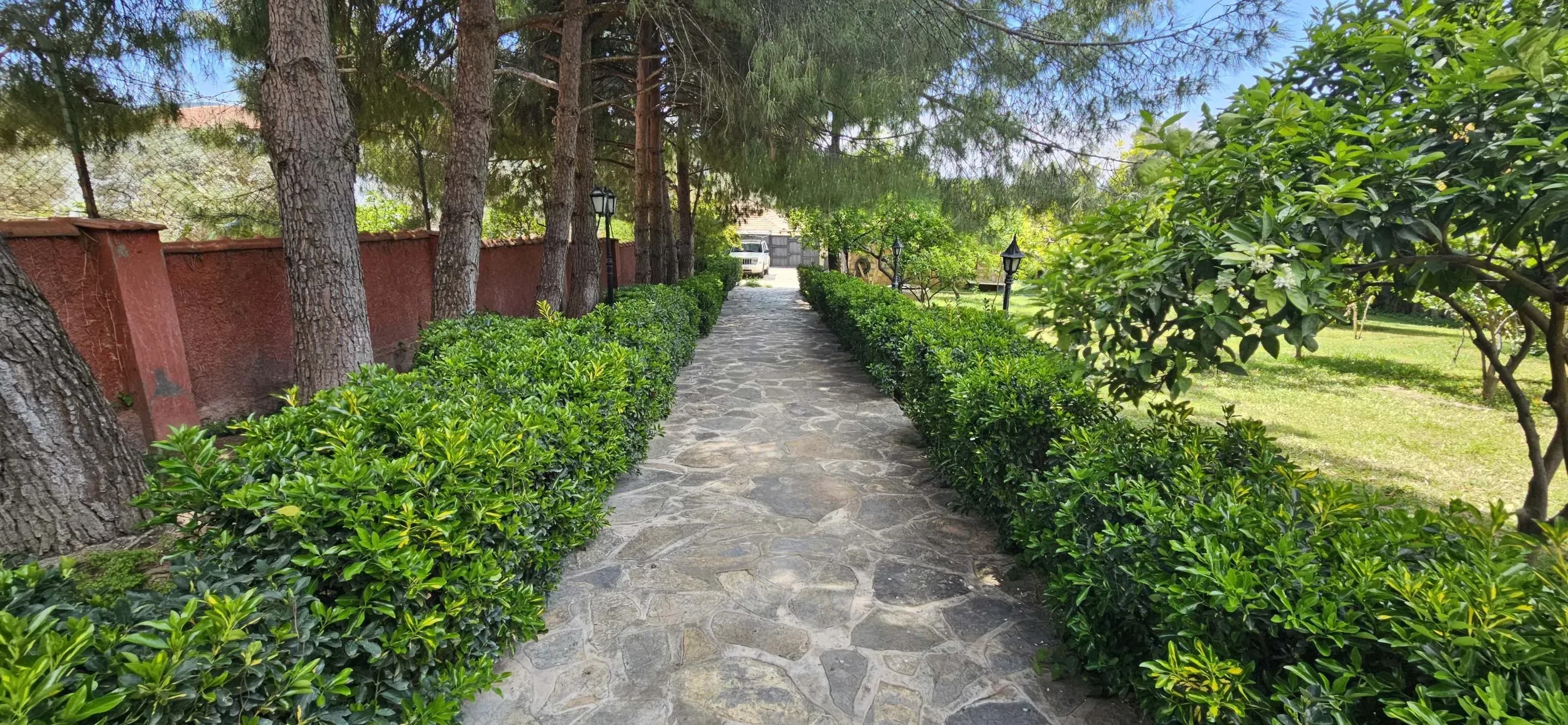 Exceptional Stone Villa with Extensive Land in Yalıçiftlik — photo 6